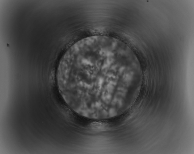 X0000092010699200710041026