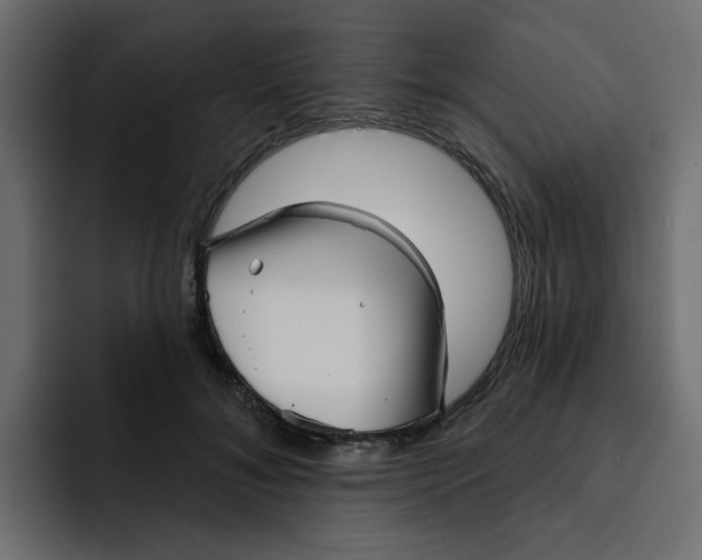 X0000092010700200710041026