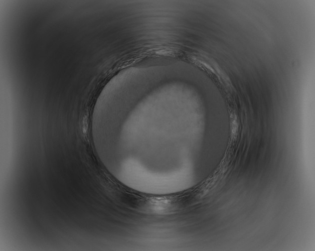 X0000092010701200710041026