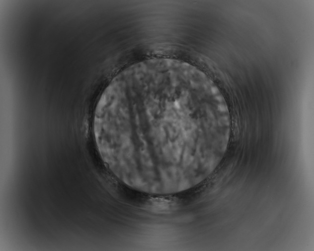 X0000092010703200710041026