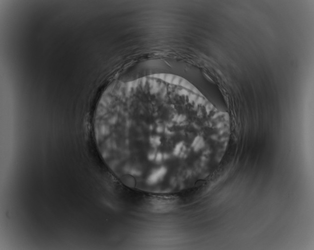 X0000092010707200710041026