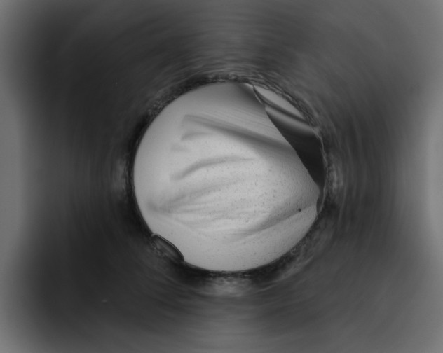 X0000092010708200710041026