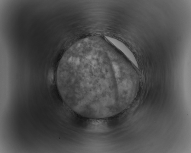 X0000092010709200710041026