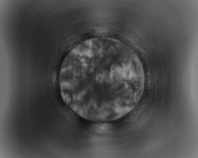 X0000092010711200710041026