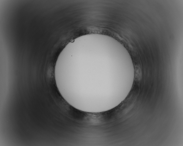 X0000092010713200710041026