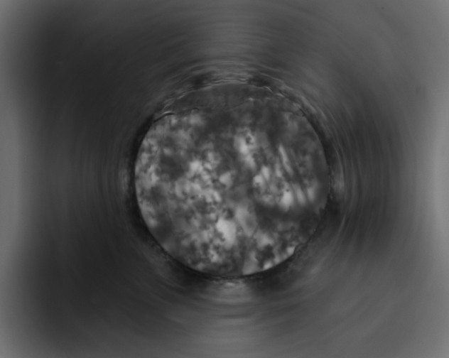 X0000092010715200710041025