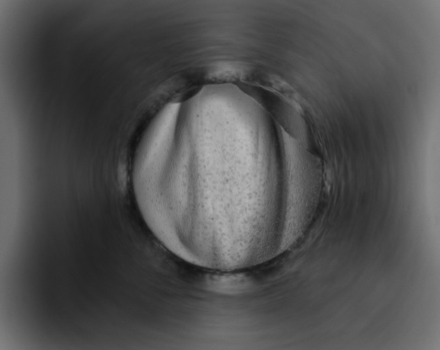 X0000092010716200710041025