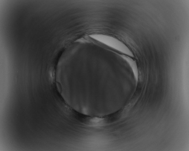 X0000092010718200710041025