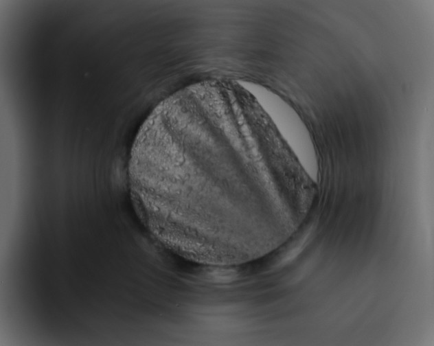 X0000092010719200710041025