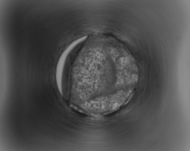 X0000092010720200710041025