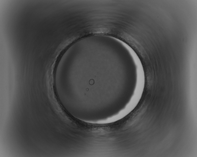X0000092010721200710041025
