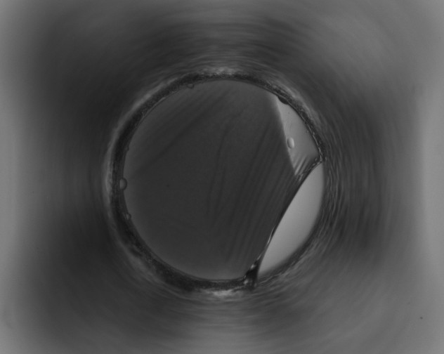 X0000092010722200710041025
