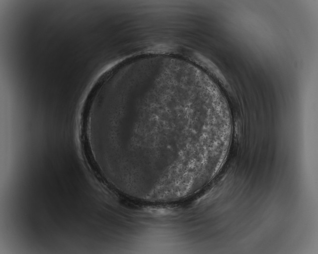 X0000092010724200710041025