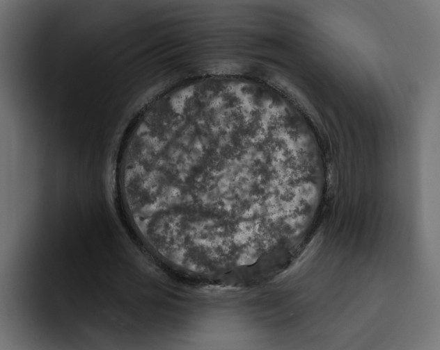 X0000092010725200710041025