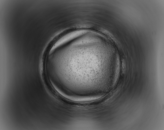 X0000092010726200710041025