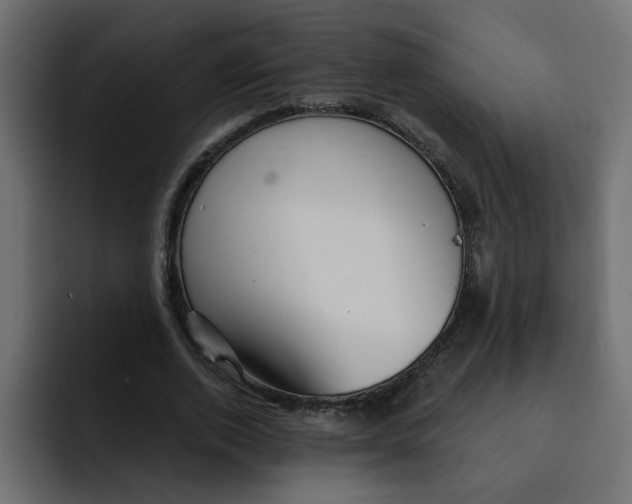 X0000092010728200710041025