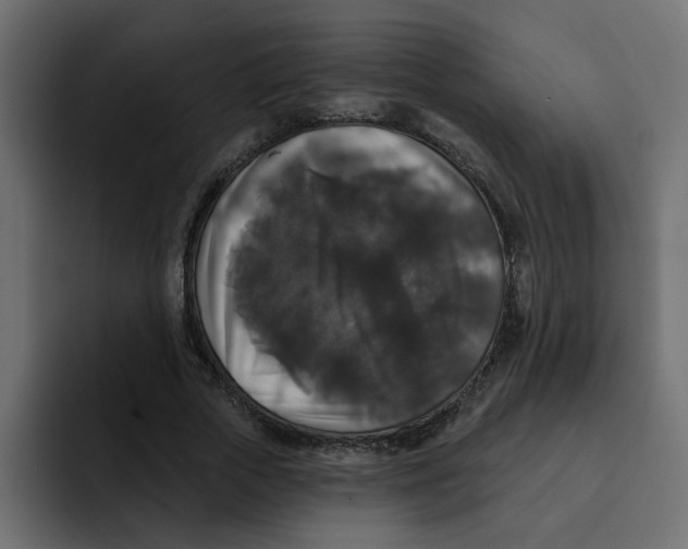 X0000092010729200710041025