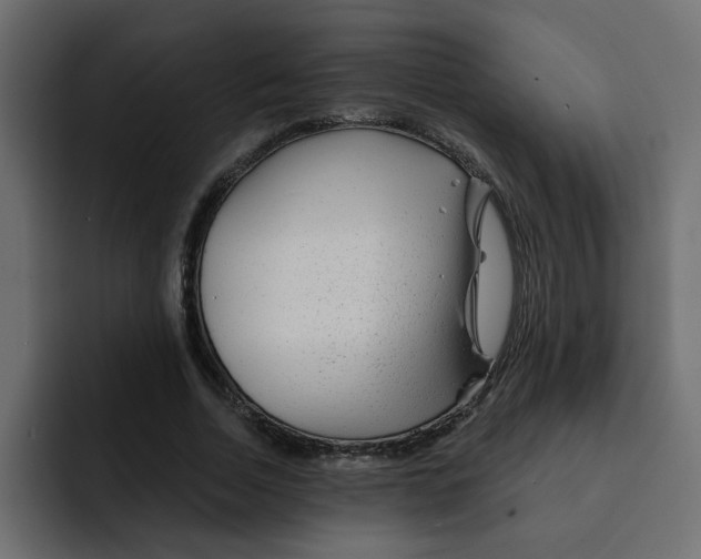 X0000092010730200710041025