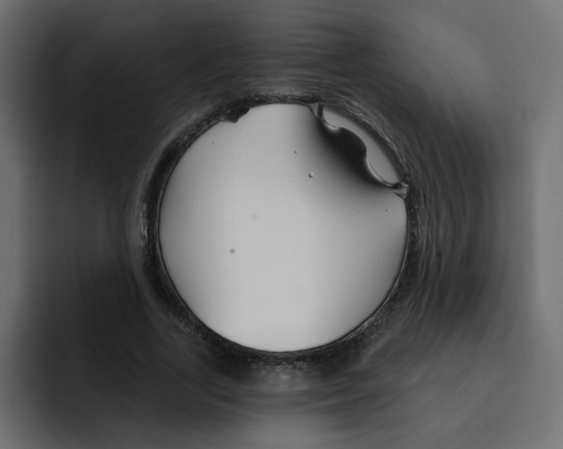 X0000092010731200710041025