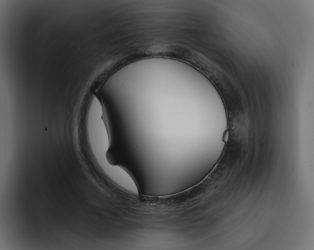 X0000092010732200710041025