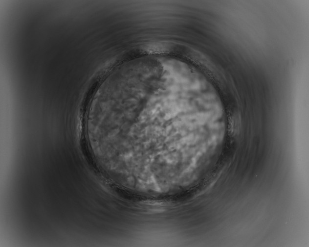 X0000092010733200710041025