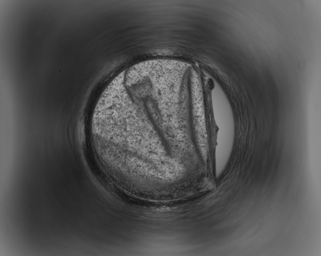 X0000092010734200710041025