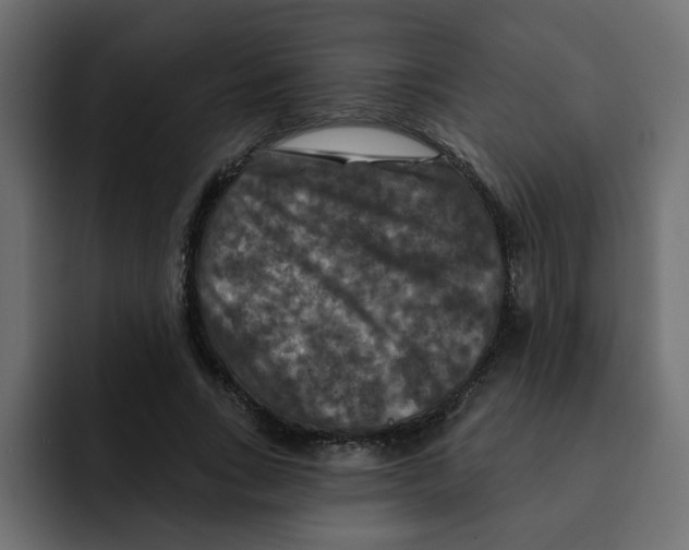 X0000092010735200710041025