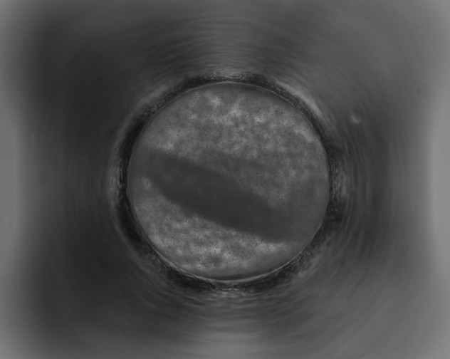 X0000092010736200710041025