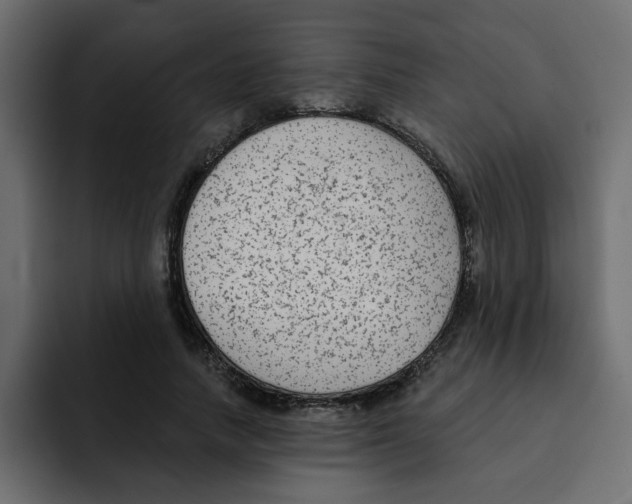 X0000092010738200710041025