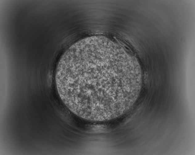 X0000092010741200710041025