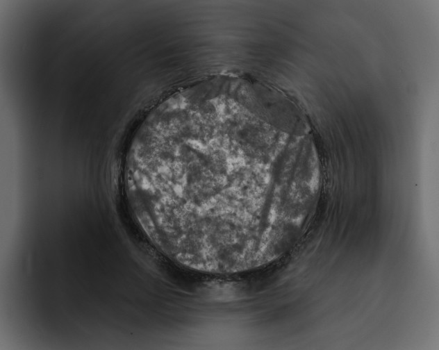 X0000092010742200710041025