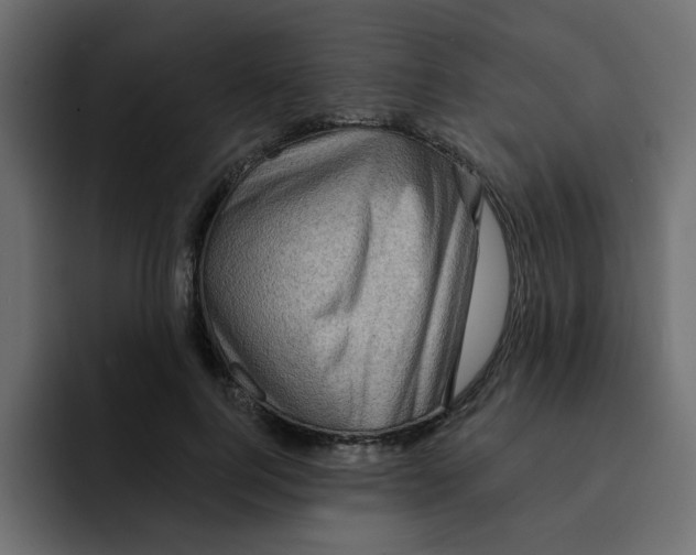 X0000092010744200710041025