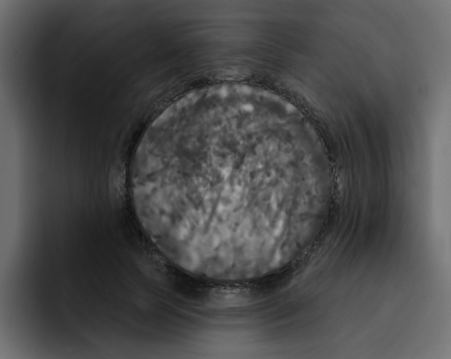 X0000092010745200710041025