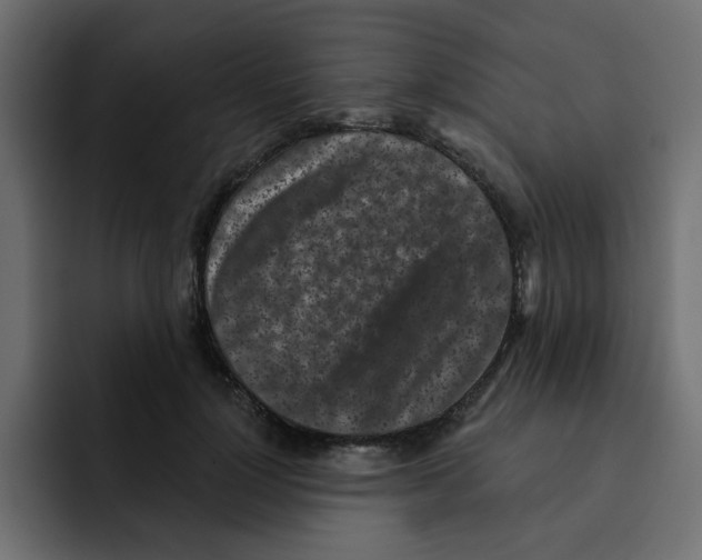 X0000092010748200710041025