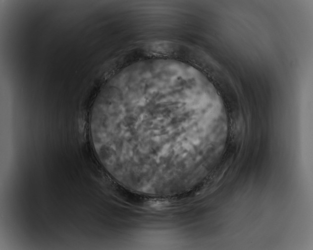 X0000092010749200710041025