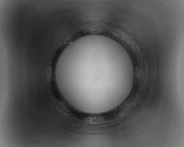 X0000092010752200710041025