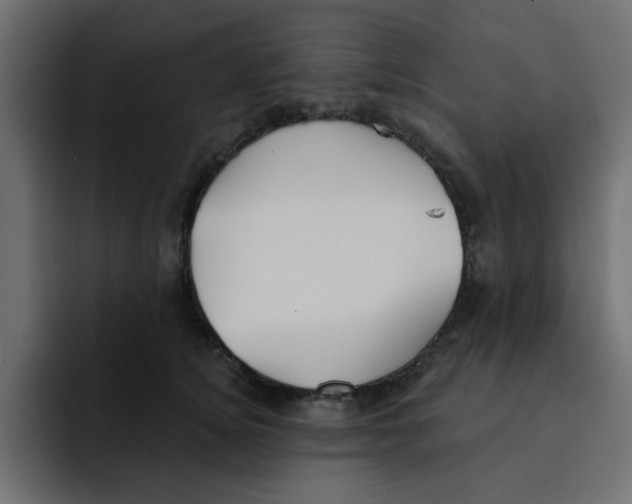 X0000092010756200710041025