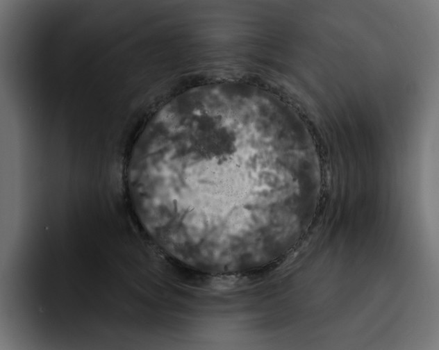 X0000092010757200710041025