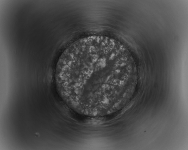 X0000092010758200710041025