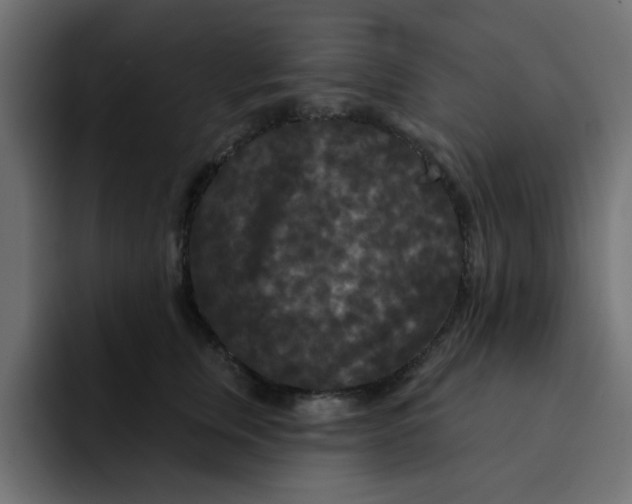X0000092010759200710041025