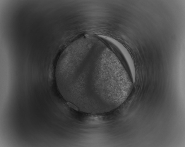 X0000092010760200710041025