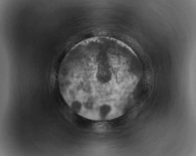 X0000092010761200710041025