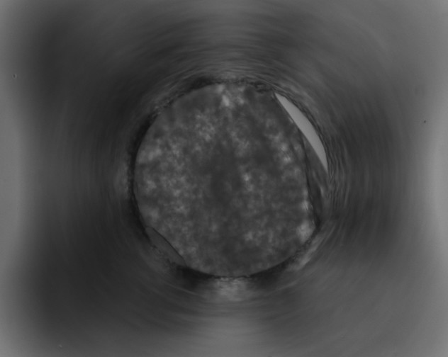 X0000092010762200710041025