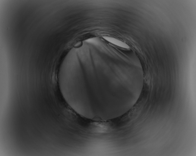 X0000092010763200710041025