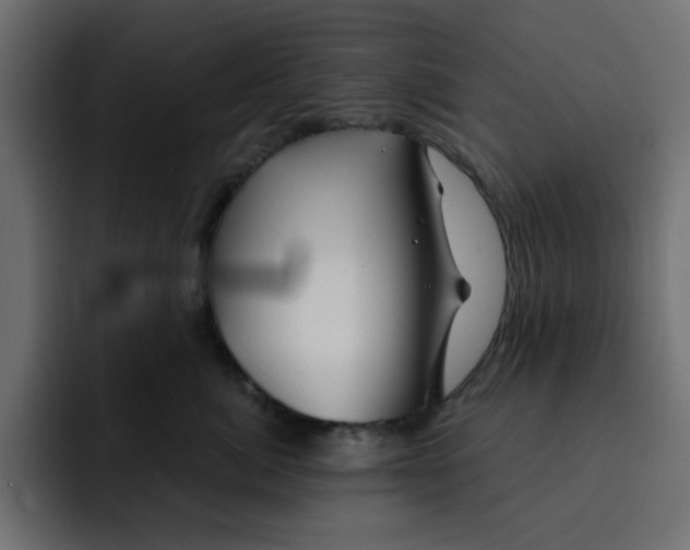 X0000092010764200710041025