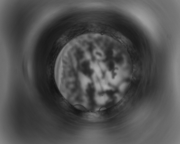 X0000092010765200710041025