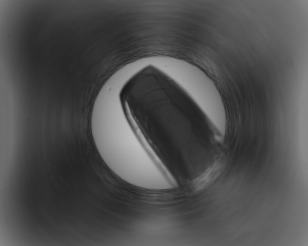 X0000092010766200710041025