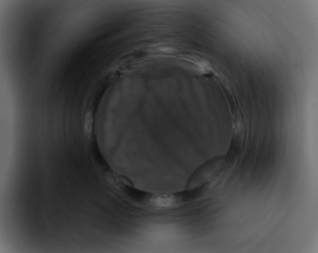 X0000092010767200710041025