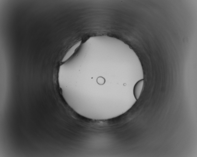 X0000092010768200710041025