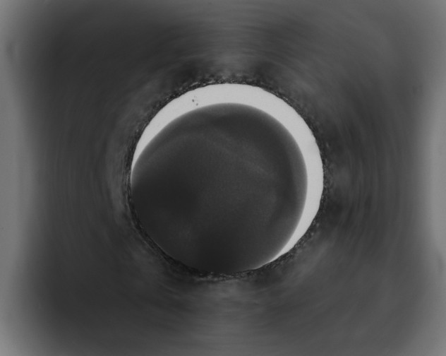 X0000092010769200710041025